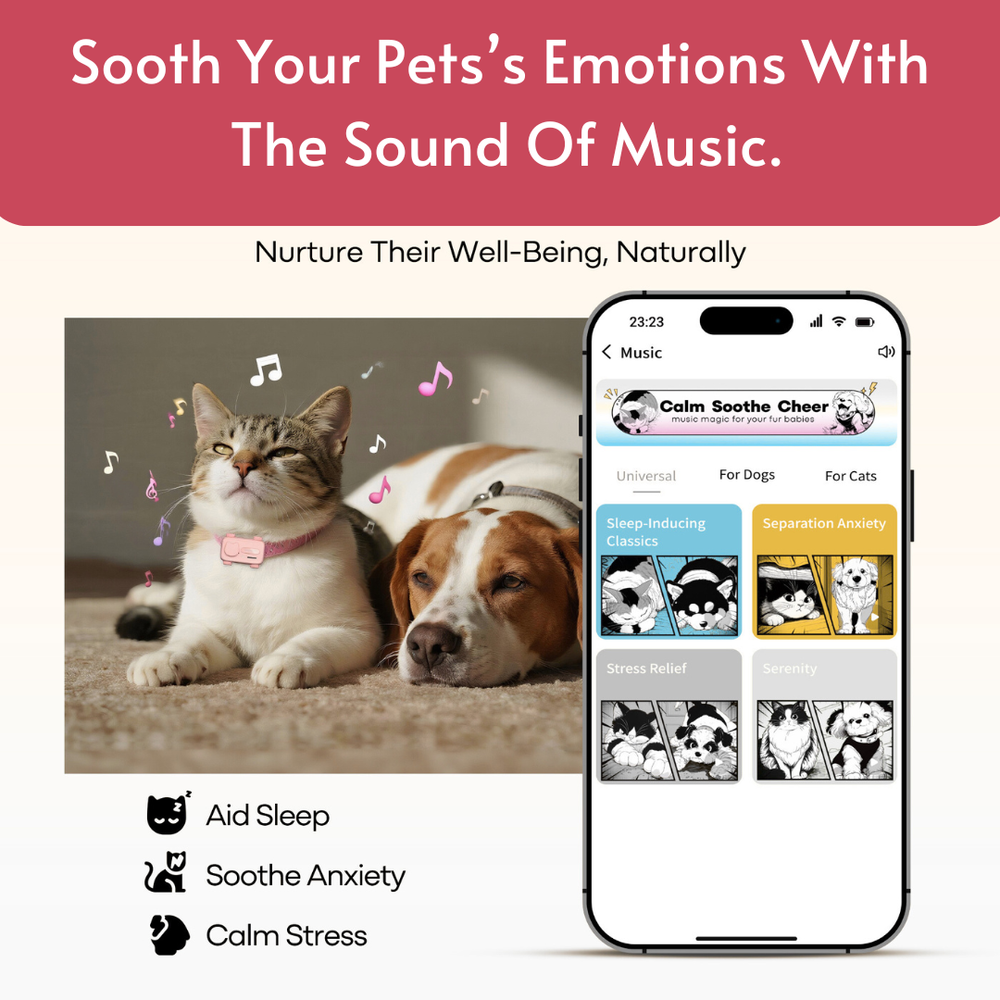 PetPhone Live GPS Tracker + Two Way Calling for Dogs and Cats - The PetPhone