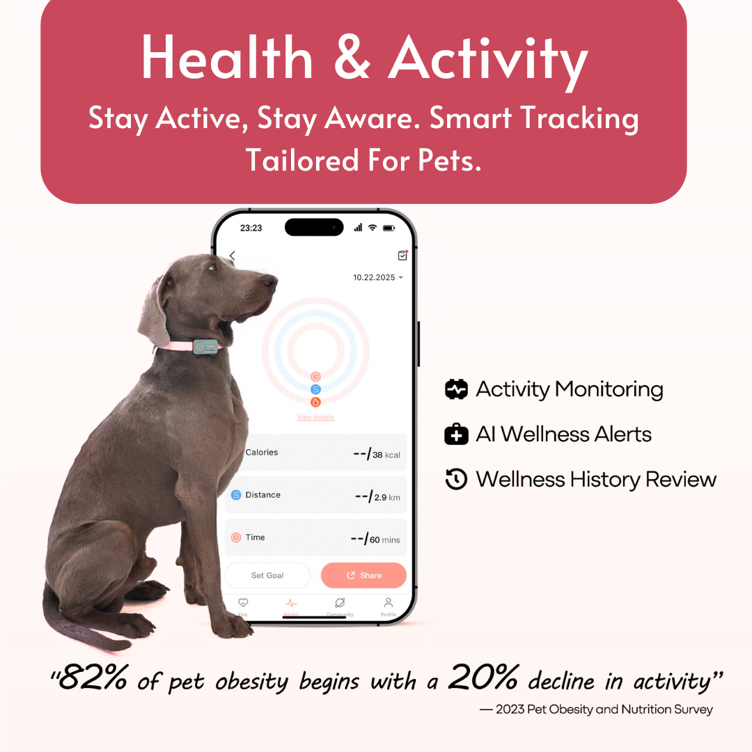 PetPhone Live GPS Tracker + Two Way Calling for Dogs and Cats - The PetPhone