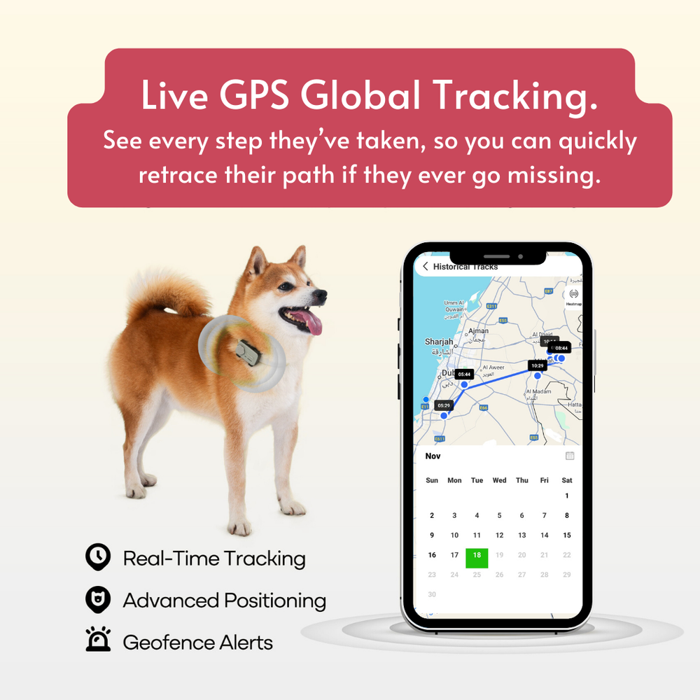 PetPhone Live GPS Tracker + Two Way Calling for Dogs and Cats - The PetPhone